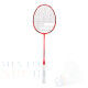 Babolat S-Series 700 Rood