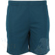 FZ Forza Landos Shorts Poseidon
